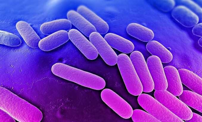 Le medicine fermano la crescita dei batteri